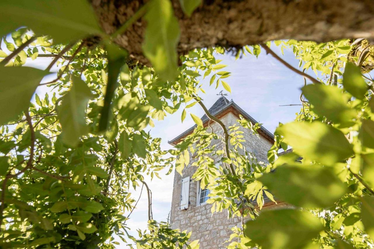 Domaine La Garenne Bed & Breakfast Reilhaguet Dış mekan fotoğraf